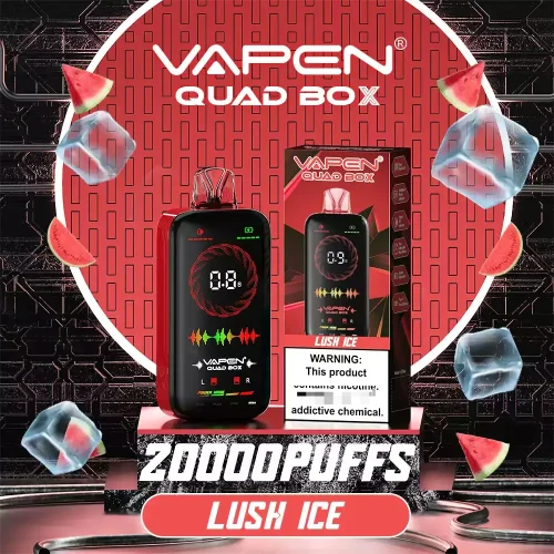 VAPEN QUAD BOX 20000