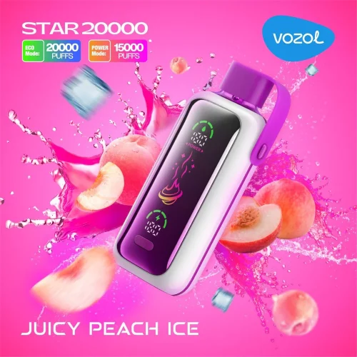 VOZOL Star 20000 Puffs